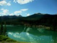 /album/photo-gallery5/jasper005-jpg/