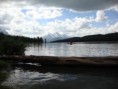 /album/photo-gallery5/jasper010-jpg/