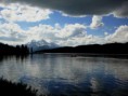 /album/photo-gallery5/jasper011-jpg/